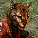 Khajiit