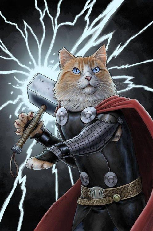 THOR CAT.jpg