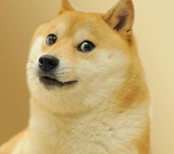 doge.jpg.e801f9f102986dd76102540491e7d469.jpg