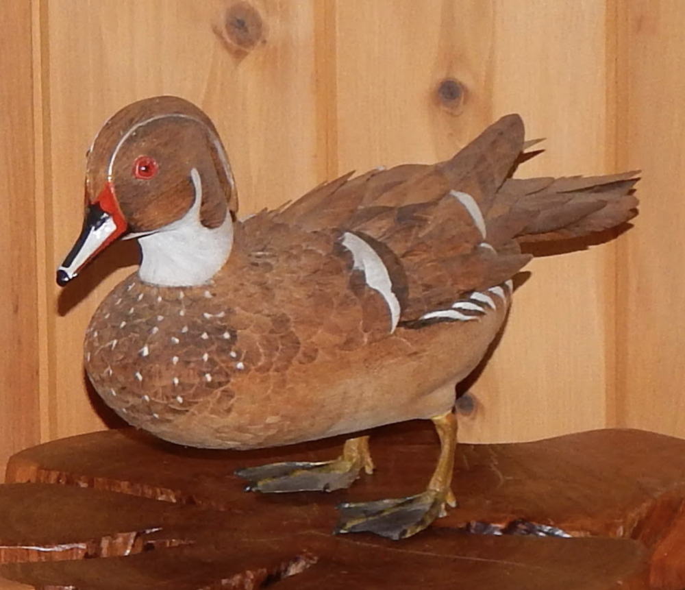 614165467_unfinishedwoodduck.thumb.png.521edc03edc073522d2c9aeed3d22574.png