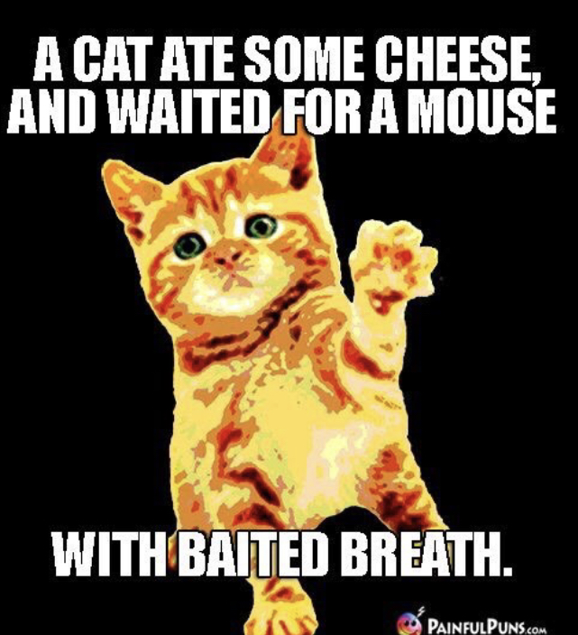 I need some cheese. I ate a Cat. With bated Breath.