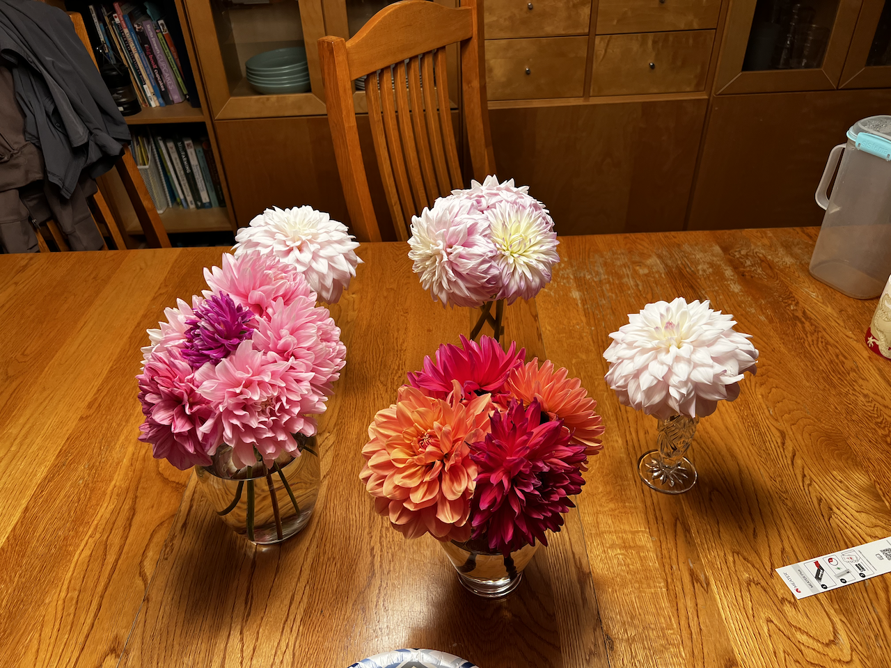 Dahlias.png.4f8a383f727f33f4364a28153429d257.png