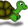 turtle_mapper
