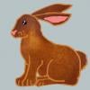 Copper Rabbit